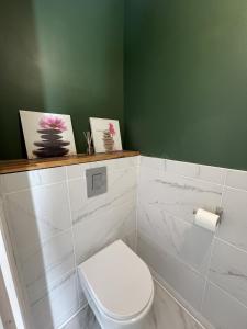 a bathroom with a white toilet and a green wall at Maison en face du Marche Notre-Dame in Poitiers