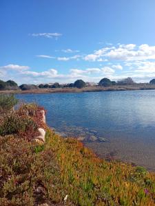 a large body of water with grass and water at Maison cosy Santa Barbara in Le Barcarès