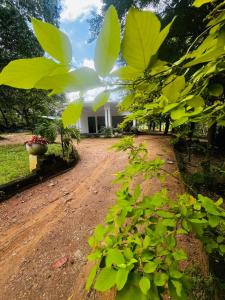 a dirt road in front of a white house at Sigiriya Yahana in Sigiriya