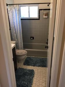 a bathroom with a shower and a toilet and a window at Cozy Bedroom Convenient Location in Bethesda