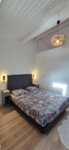 a bedroom with a bed in a room with a ceiling at Au calme, parking gratuit,proche centre Thonon les bains in Allinges