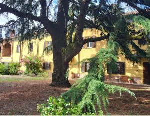 a large tree in front of a yellow building at B&B la Giorgetta in Pozzolo Formigaro