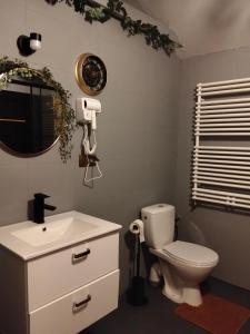 a bathroom with a toilet and a sink and a mirror at Villa Varzob lll in Warsaw +37 photos