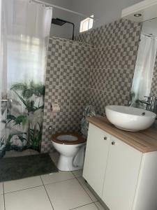 a bathroom with a toilet and a sink and a shower at Le Donjon du lycée in Sada