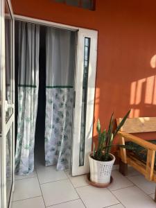 a sliding glass door with a plant in a pot at Le Donjon du lycée in Sada