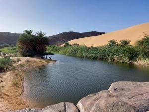 a river in the middle of a desert with palm trees at Auberge Tembahjit in Terjit