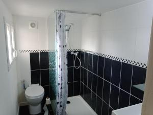 ein Badezimmer mit Toilette und Dusche in der Unterkunft Studio Bx Métropole Eysines A côté du tram in Eysines