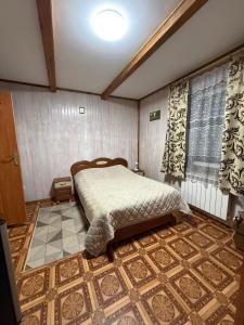a bedroom with a bed in a room at healing waters in Skhidnitsa