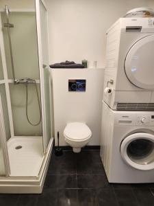 a small bathroom with a toilet and a washing machine at Kalveld aparment 2 in Lillesand