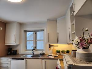 a kitchen with white cabinets and a sink and a window at Kalveld aparment 2 in Lillesand +8 photos