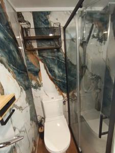a bathroom with a toilet and a shower at Apartment Pod Lipom in Roč