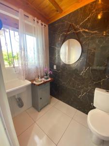 a bathroom with a toilet and a sink and a mirror at Hospedaria Klagemberg in Treze Tílias +16 photos