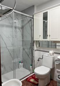 a bathroom with a shower and a toilet and a sink at Apartamento Centro in Granada +27 photos