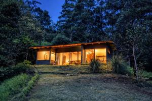a small house in the woods at night at Olingo Monteverde - Studio Apartment with Jacuzzi in Monteverde Costa Rica +11 photos