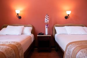 Gallery image of Hotel Roma in Durango +14 photos