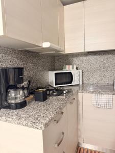 a kitchen with a counter top with a microwave at Bellagio Little Apartment in Bellagio +20 photos