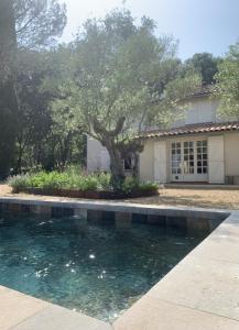 a pool of water in front of a house at Domaine de Grave in Mirepoix