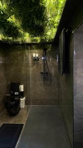 a bathroom with a shower and a toilet at Nuit D Or LoveRoom in Bellegarde-sur-Valserine