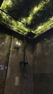 a bathroom with a shower with lights on the ceiling at Nuit D Or LoveRoom in Bellegarde-sur-Valserine