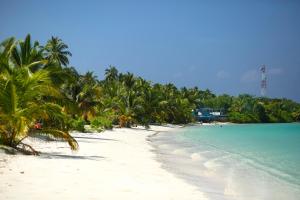 a beach with palm trees and the ocean at Filladhoo inn in Filadu