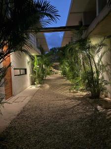 a walkway with plants next to a building at condo pacha tulum in Tulum
