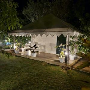 a tent with potted plants in a yard at night at Tiger Woods Ranthambore in Sawāi Mādhopur