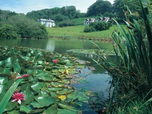 a pond with lily pads and houses in the background at Rosecraddoc Manor - Heron in Saint Cleer