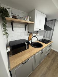 a kitchen with a counter top with a microwave at Garsoniera G 5 in Roman +16 photos