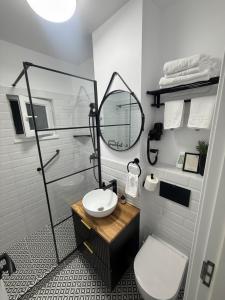 a bathroom with a sink and a mirror and a toilet at Garsoniera G 5 in Roman