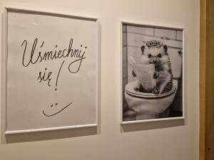 a picture of a baby hedgehog sitting on a toilet at Dzień dobry w Szczytnej in Szczytna