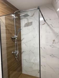 a bathroom with a shower with a glass door at WoodCottage in Borjomi +24 photos