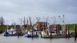 a group of boats docked in the water at Strand Hotel Deichläufer in Butjadingen