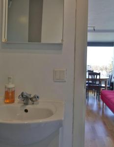 a bathroom sink with a mirror and a living room at Bla Hus B&B in Reykjavík +44 photos