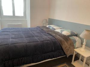 a bedroom with a bed with a blue comforter and a window at La Cascade appartement F2 in Eaux-Bonnes