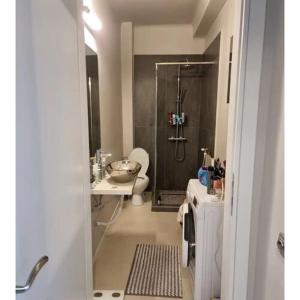 a bathroom with a shower and a toilet and a sink at Cosy studio in Bucharest