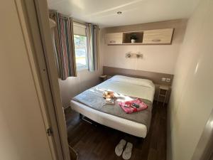 a small room with a bed with a tray on it at Camping Rio Vero de Alquézar in Alquézar