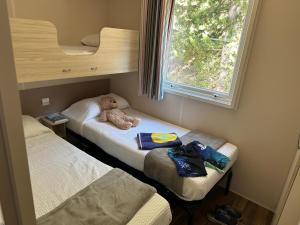 a small room with two beds and a teddy bear on the bed at Camping Rio Vero de Alquézar in Alquézar