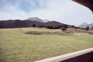 a field of grass with mountains in the background at La ferme in Moltifao +3 photos