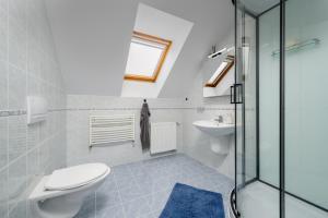 a bathroom with a toilet and a sink at Apartmán Regina in Liberec