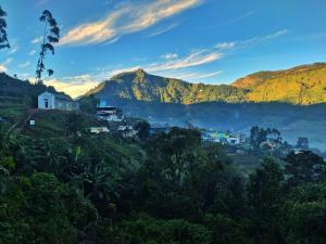 a village on a hill with mountains in the background at Brooklyn Homestay in Vattavada