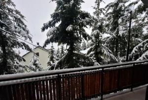 Ein schneebedeckter Baum vor einem Zaun in der Unterkunft Vila Bon in Tetovo + 5 Fotos