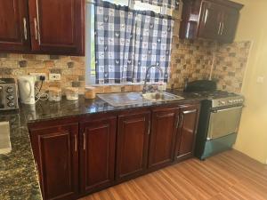 a kitchen with a sink and a stove at Northern Apartment Rentals in Paix Bouche