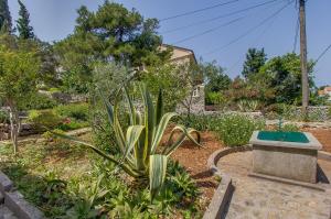 a garden with a cactus and a bench at Apartment Nada in Veli Lošinj
