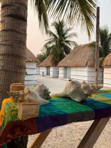 two seals laying on a blanket under a palm tree at Cabañas Cinco Elementos in Celestún
