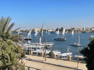 a group of boats are docked in a harbor at Toutankhamon in Luxor