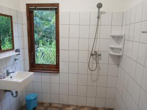 a bathroom with a shower and a sink and a window at Arche Noah in Kalabahi