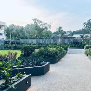 a row of bushes and plants in a garden at The Bantree by Tripview Apartments in Accra