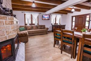 a living room with a fireplace and a couch at Cabana lui Matei in Borlova