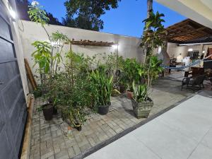 a bunch of plants in pots on a patio at Suíte Bem Te vi in Porto Seguro