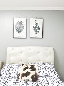 a bed with three pictures of plants on the wall at Best 10th floor Condo Studio at The Loop Limketkai Center Lucky 4 in Cagayan de Oro